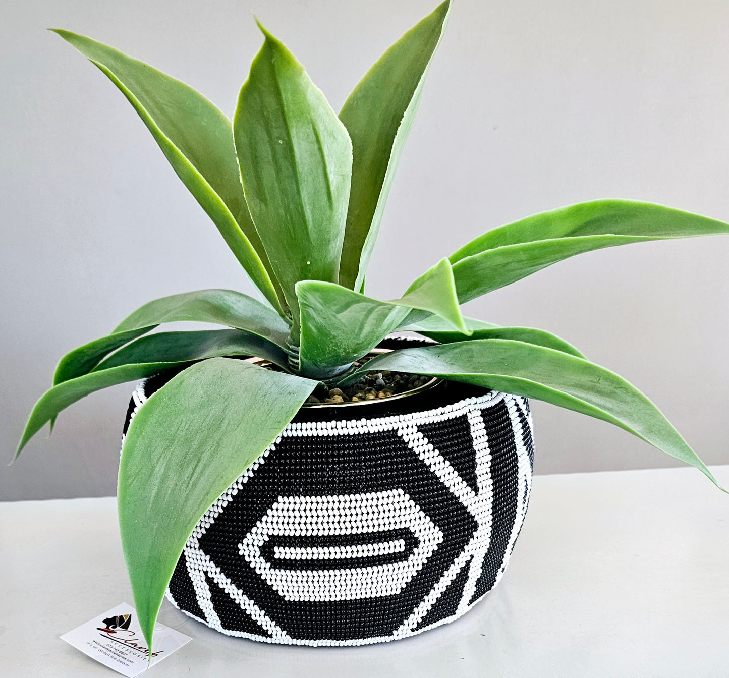 Beaded Pot plant