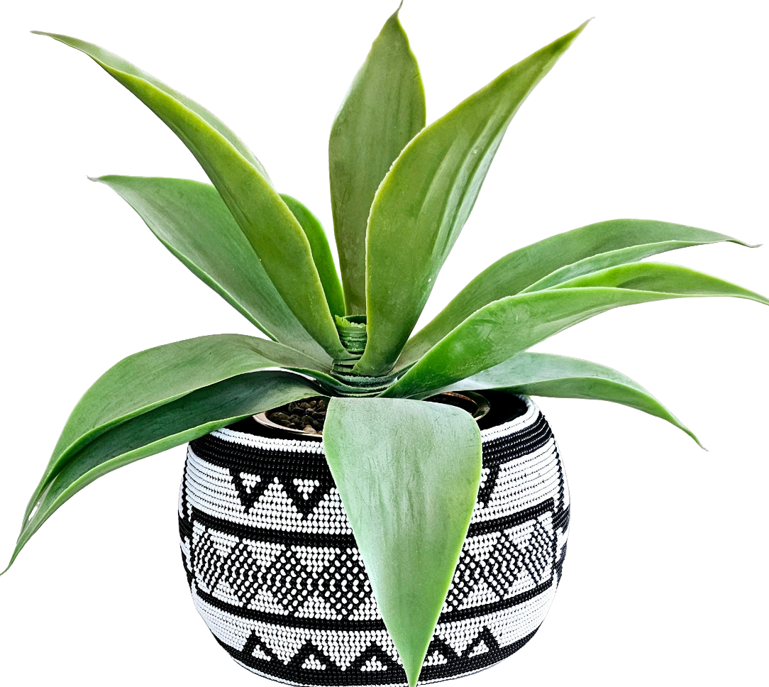 Beaded Pot plant