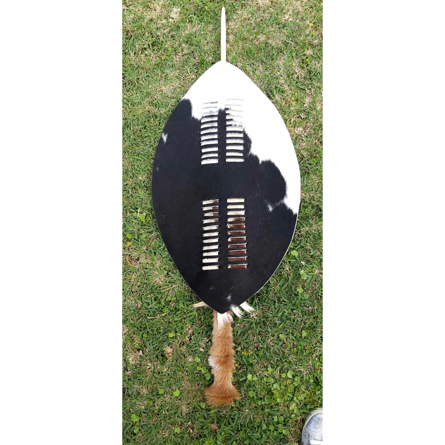 African Zulu Shield (Ihawu)