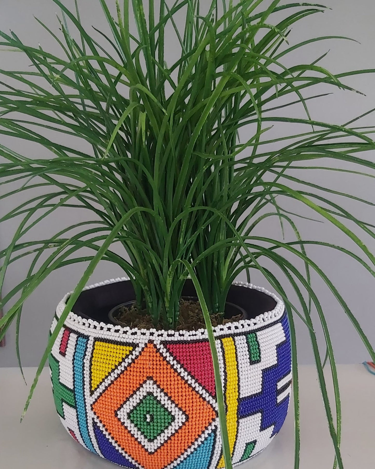 Beaded Pot plant